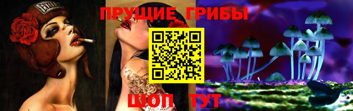 Арсеньев  как найти наркотики  Вход с VPN  Псилоцибиновые грибы мицелий 